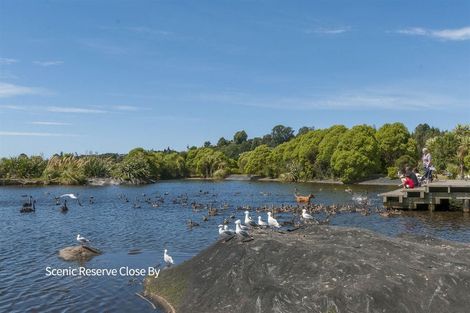 Photo of property in 87 Hawkridge Heights, Bethlehem, Tauranga, 3110
