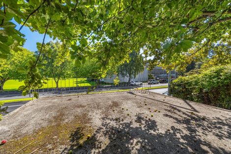 Photo of property in 469 Kaikorai Valley Road, Bradford, Dunedin, 9011