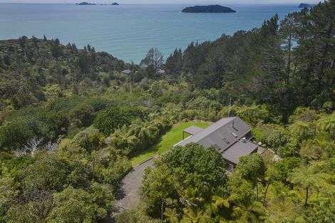 Photo of property in 131 Pumpkin Hill Road, Pumpkin Hill, Whitianga, 3591