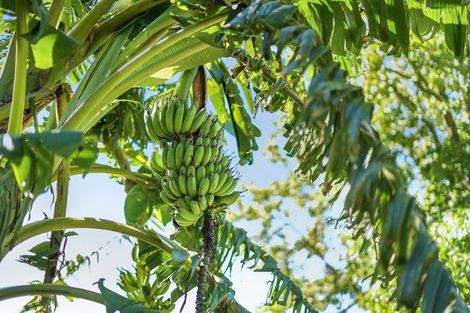 Photo of property in 91 Weranui Road, Waiwera, Orewa, 0994