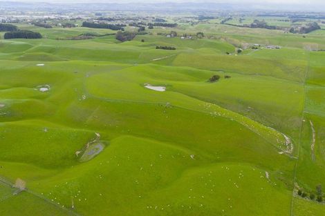 Photo of property in 234 Sandon Road, Feilding, 4779