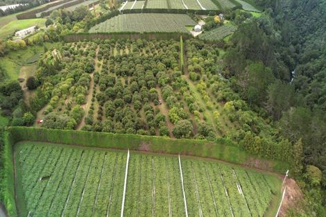 Photo of property in 400 Te Matai Road, Te Puke, 3188