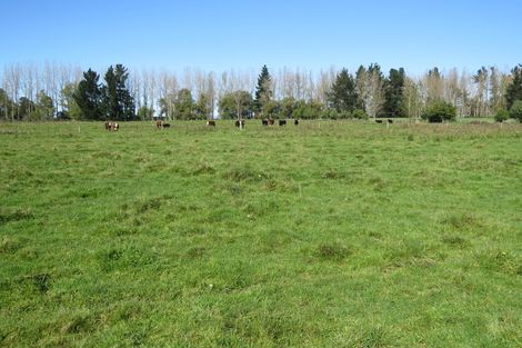 Photo of property in 141 Nixons Road, Fairlie, 7987