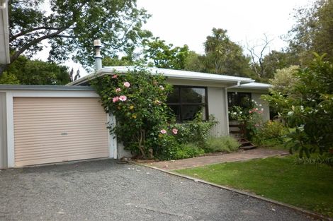 Photo of property in 44 Chambers Street, Havelock North, 4130