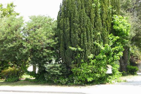 Photo of property in 77 Ayers Street, Rangiora, 7400