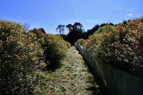 Photo of property in 1/19 Glasseye Drive, Little Wanganui, Karamea, 7893