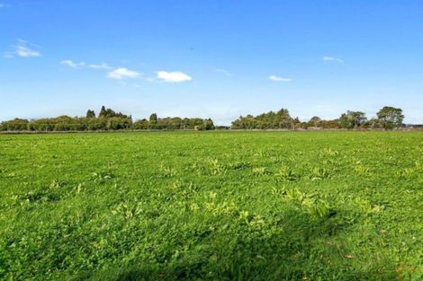 Photo of property in 743 Puketaha Road, Puketaha, Hamilton, 3281