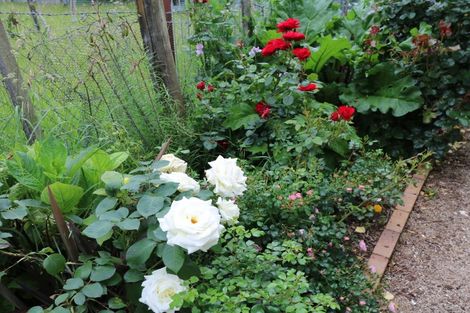 Photo of property in 4a Kent Street, Carterton, 5713