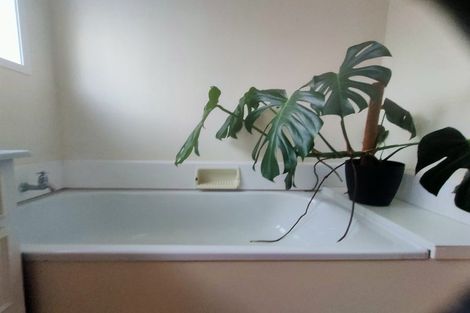 Photo of property in 1/175 Mitchell Street, Brooklyn, Wellington, 6021