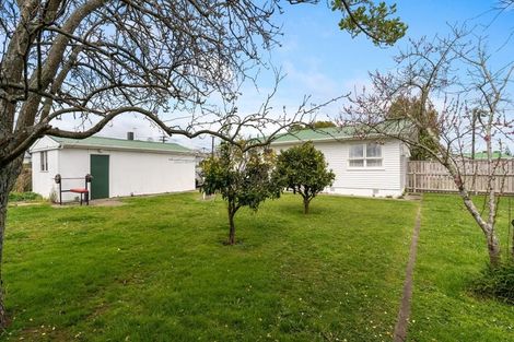 Photo of property in 21 Cornwall Street, Levin, 5510