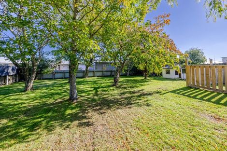 Photo of property in 38 Racecourse Road, Waipukurau, 4200