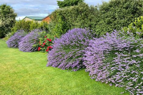 Photo of property in 12 Robertson Court, Cromwell, 9310