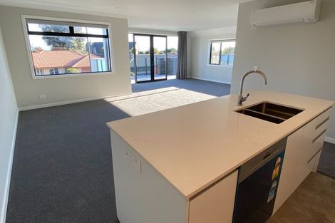 Photo of property in 2b Astelia Place, Richmond, 7020