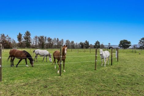 Photo of property in 108 Kawerau Road, Putauaki, Whakatane, 3192