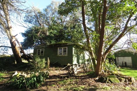 Photo of property in 25 Heatherlea Road East, Levin, 5571