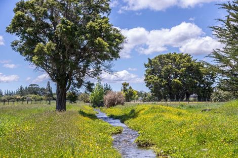 Photo of property in 635 Chester Road, West Taratahi, Carterton, 5791