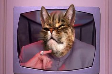 Photo of property in Jugglers Rest Backpackers, 8 Canterbury Street, Picton, 7220