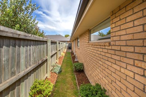 Photo of property in 24 Cooke Street, Somerfield, Christchurch, 8024