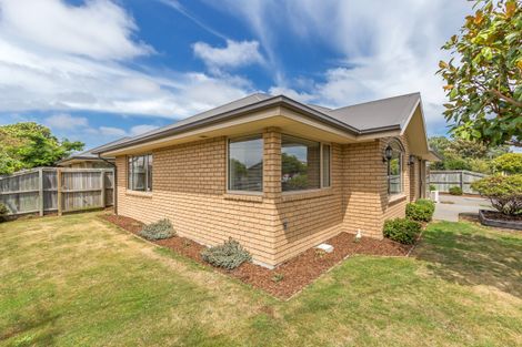 Photo of property in 24 Cooke Street, Somerfield, Christchurch, 8024