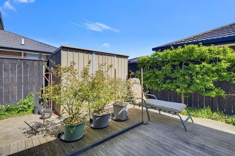 Photo of property in 41 Ara Drive, Redwoodtown, Blenheim, 7201