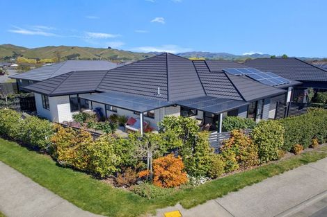 Photo of property in 41 Ara Drive, Redwoodtown, Blenheim, 7201