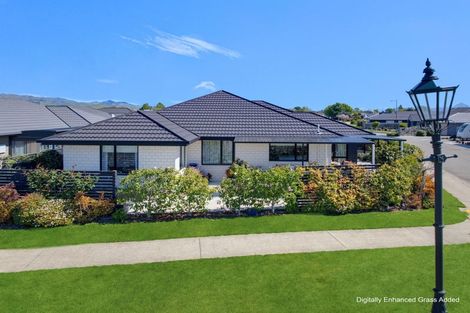 Photo of property in 41 Ara Drive, Redwoodtown, Blenheim, 7201