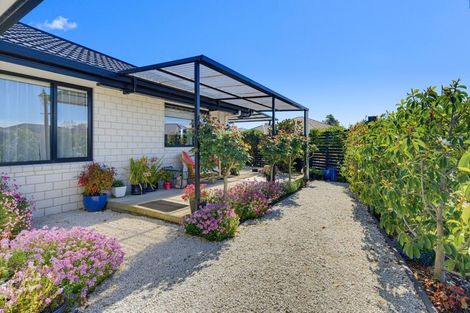 Photo of property in 41 Ara Drive, Redwoodtown, Blenheim, 7201