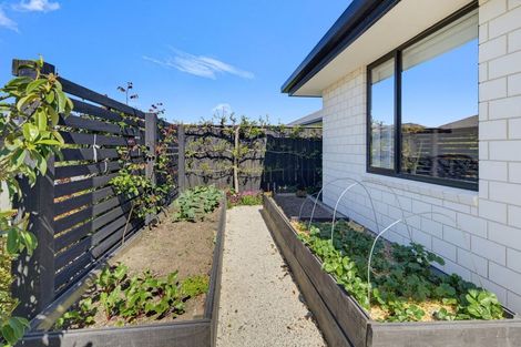 Photo of property in 41 Ara Drive, Redwoodtown, Blenheim, 7201