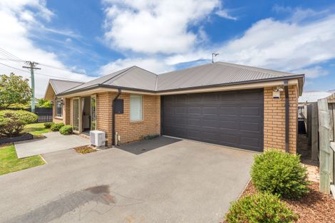 Photo of property in 24 Cooke Street, Somerfield, Christchurch, 8024