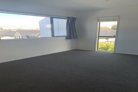 Photo of property in 1/195 Massey Street, Frankton, Hamilton, 3204