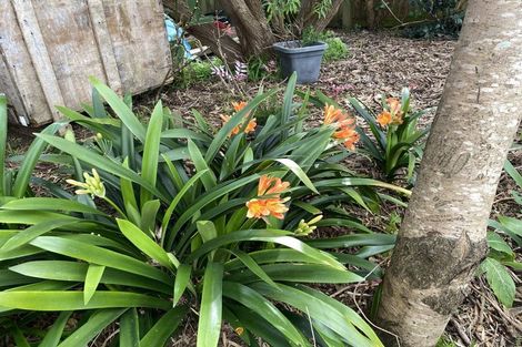 Photo of property in 100 Centennial Avenue, Waitara, 4320