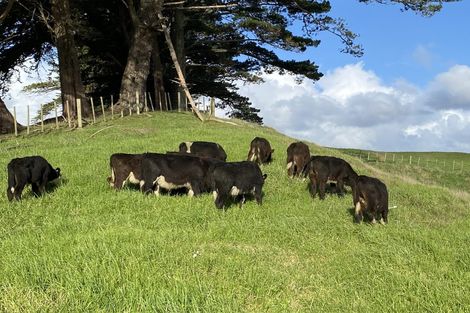 Photo of property in 567 Wharehine Road, Wharehine, Wellsford, 0973