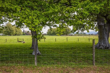 Photo of property in 3 Crossley Avenue, Woodend, 7610