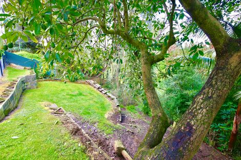 Photo of property in 9 Goodall Street, Dinsdale, Hamilton, 3204