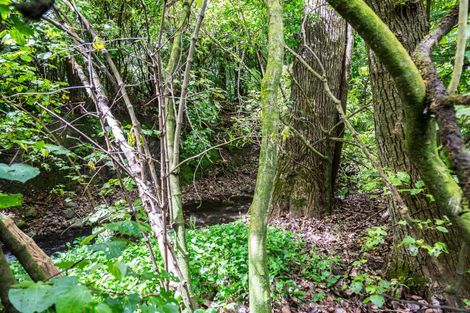 Photo of property in 4a Kereru Grove, Featherston, 5710