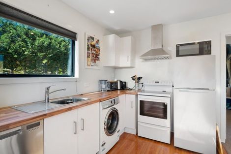 Photo of property in 22 Long Grass Place, Hawea Flat, Wanaka, 9382