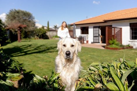 Photo of property in 15 Lamia Grove, Papamoa Beach, Papamoa, 3118