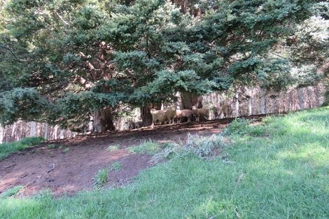 Photo of property in 1232 Bull Road, Paparoa, 0571