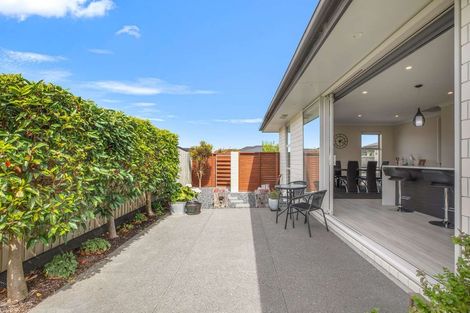 Photo of property in 133 Jimmy Adams Terrace, Lincoln, 7608