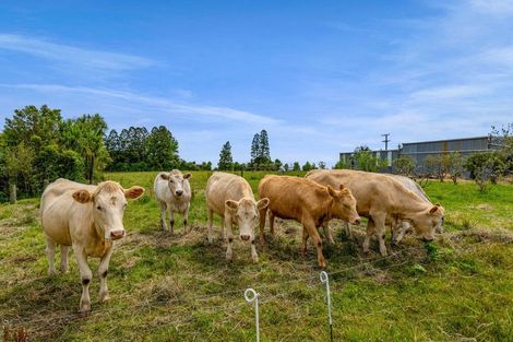 Photo of property in 438 Alfred Road, Kaimiro, New Plymouth, 4371