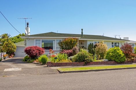 Photo of property in 43 Fergusson Street, Solway, Masterton, 5810