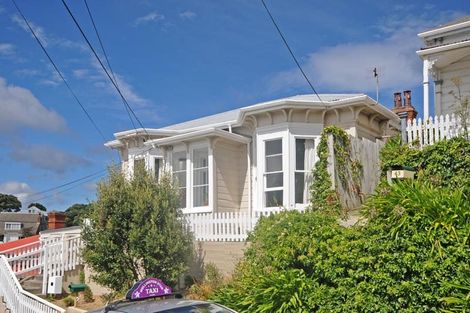 Photo of property in 41 Hankey Street, Mount Cook, Wellington, 6011