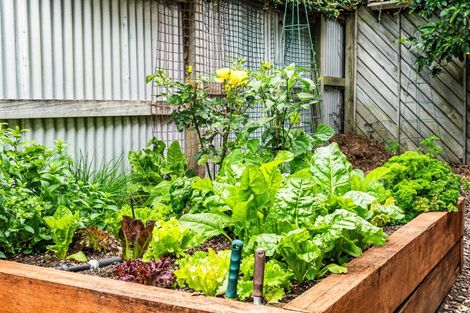 Photo of property in 7a Waterview Road, Favona, Auckland, 2024