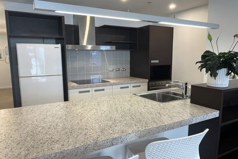 Photo of property in Republic Apartments, 3c/11 Tennyson Street, Te Aro, Wellington, 6011