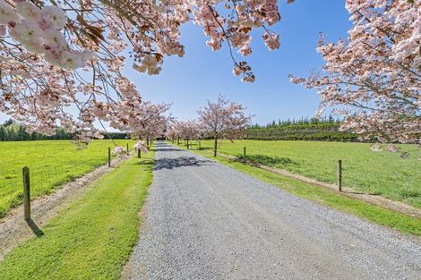 Photo of property in 558 Sandy Knolls Road, West Melton, Christchurch, 7675