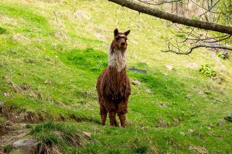 Photo of property in 265 Lud Vly Road, Hira, Nelson, 7071