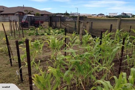 Photo of property in 20 Arakotipu Boulevard, Waiotahe, Opotiki, 3198