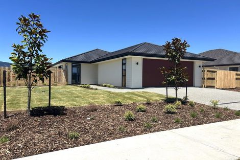 Photo of property in 19 Rubus Street, Appleby, Richmond, 7020