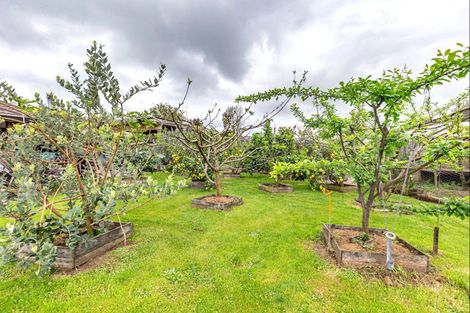 Photo of property in 177 Queen Street West, Levin, 5510