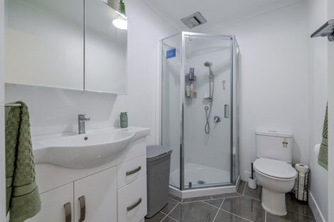 Photo of property in 486 Tremaine Avenue, Takaro, Palmerston North, 4410